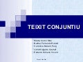 Teixit Conjuntiu