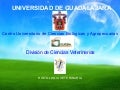 Histología Tejido Conectivo