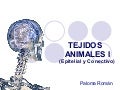 Tejidos Animales I (Epitelial y Conectivo)