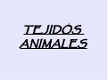 Tejidos animales