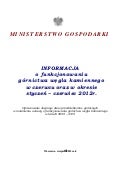 Górnictwo w pierwszym półroczu 2012r.