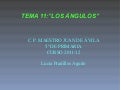 Tema 11. lucia