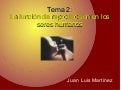 Tema 2 Cono