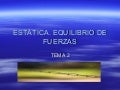 Tema 2 EstáTicapdf2