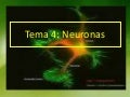 Tema 4. neuronas