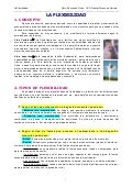 Tema 6. la flexibilidad