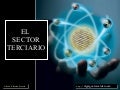 El Sector Terciario. Servicios Sociales y Transporte.