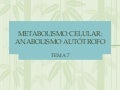 Tema 7 metabolismo celular anabolismo