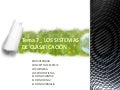 Tema 7  Sistemas de clasificación