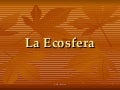 Tema 9 la ecosfera1 (1)