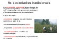 As sociedades tradicionais