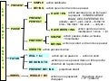 Grammaire anglaise : les Temps Recap