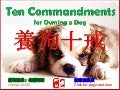 Ten commandments for owning a dog (養狗十戒)