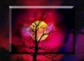 Tender Is The Night