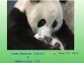 Tender Moments  温馨的时刻