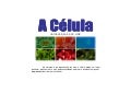 Teoria celular