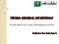 Teoria General De Sistemas