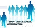 Teoria y comportamiento organizacional