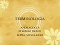 Terminología sesion 1