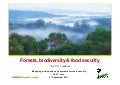 Forests, biodiversity and food security
