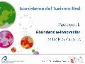 Ecosistema del turismo red: Modelo de la Abundancia e Innovación en las Islas Canarias