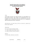 Tesis maestría