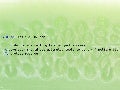 Testing the web