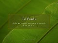Te Verde +