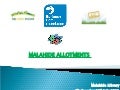 Allotments for Malahide