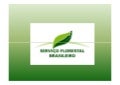 Thais linhares   fundo amazonia