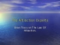 The Attraction Experts