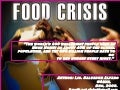 The Food Crisis, 2008, By Lic. Salvador Alfaro Gomez.