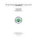 The irish-software-industry-19892008-an-overview-of-its1749