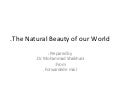 The Natural Beauty Of Our World