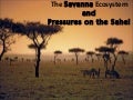 The Savanna Ecosystem