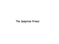 The SubPrime Primer