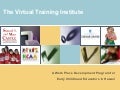 The Virtual Training Institute for Early Childhood Educators in Hawaii