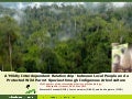 A ‘Mildly Interdependent Relationship' between Local People  and a Protected Wild Parrot Species through Indigenous Arboriculture