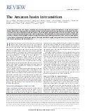 The amazon basin_in_transition