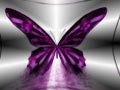 The Birth of a Butterfly