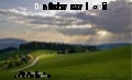 The black forest