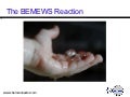 Do not be bemused by the BEMEWS Reaction 