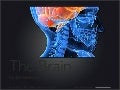 The Brain for Entrepreneurs by Maya Elhalal Levavi 