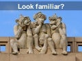 monkey business coaching process