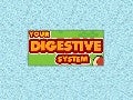 The Digestive System