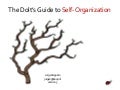 The Dolt's Guide To Self-Organization