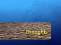 The drought