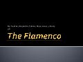 The flamenco powerpoint 56