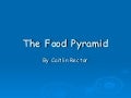 The Food Pyramid