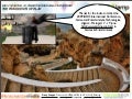 The Fragments of Play - Transocialmedia Entertainment